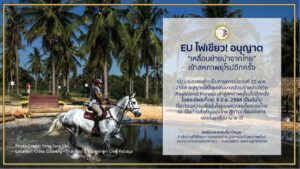 สหภาพยุโรป ไฟเขียว!!! ไทยส่งออกม้าที่จดทะเบียนไปยังสหภาพยุโรป (EU) ได้อีกครั้ง