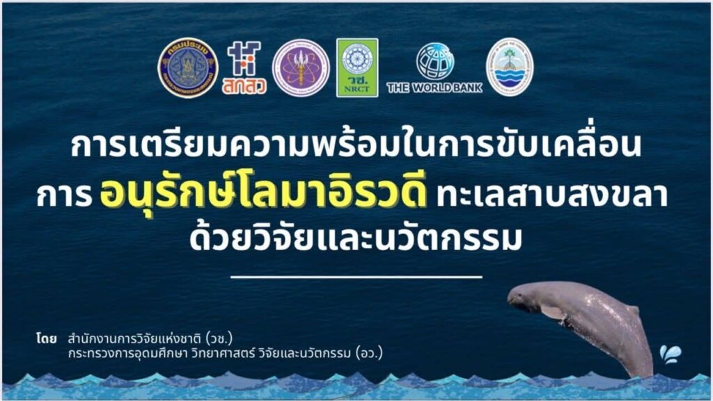 วช. ร่วมกับทช. กปม. สกสว. WB และหน่วยงานภาคีเครือข่ายขับเคลื่อนการอนุรักษ์โลมาอิรวดีทะเลสาบสงขลา