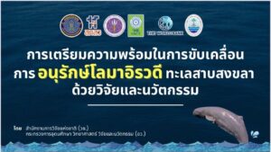 วช. ร่วมกับทช. กปม. สกสว. WB และหน่วยงานภาคีเครือข่ายขับเคลื่อนการอนุรักษ์โลมาอิรวดีทะเลสาบสงขลา